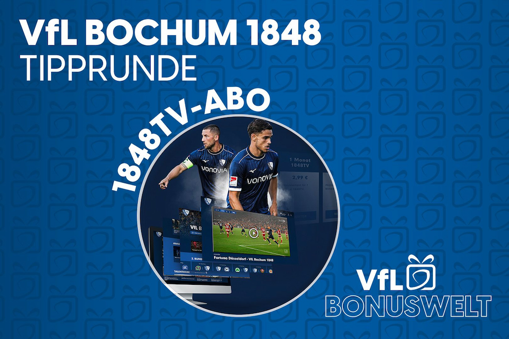 Trikots & Fanartikel