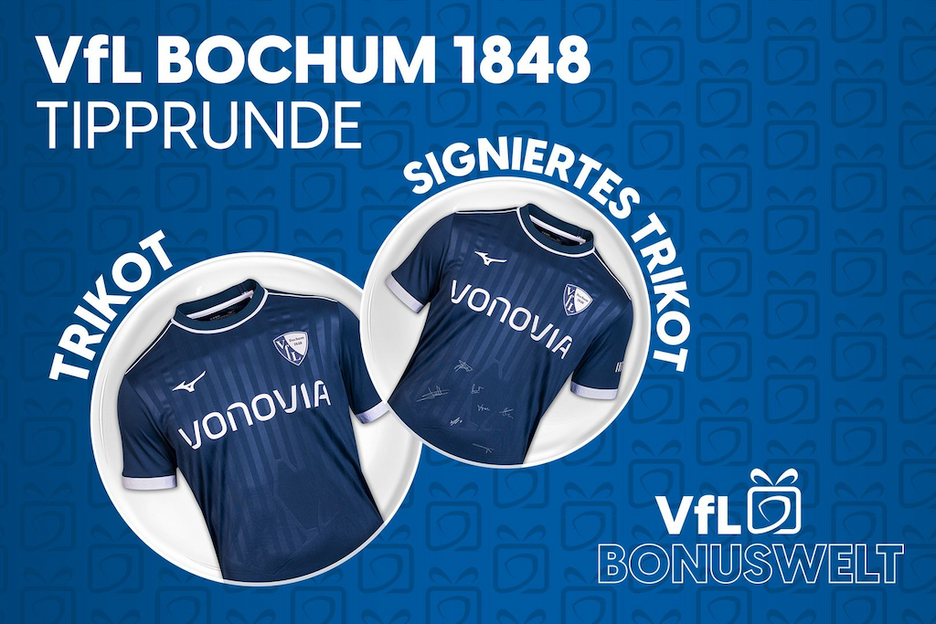 Trikots & Fanartikel